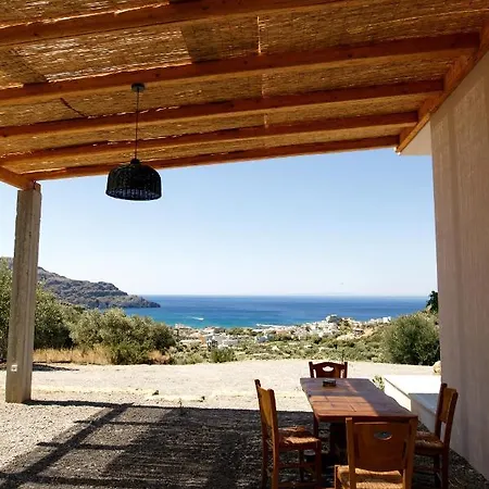Almond With A Sea View Above *